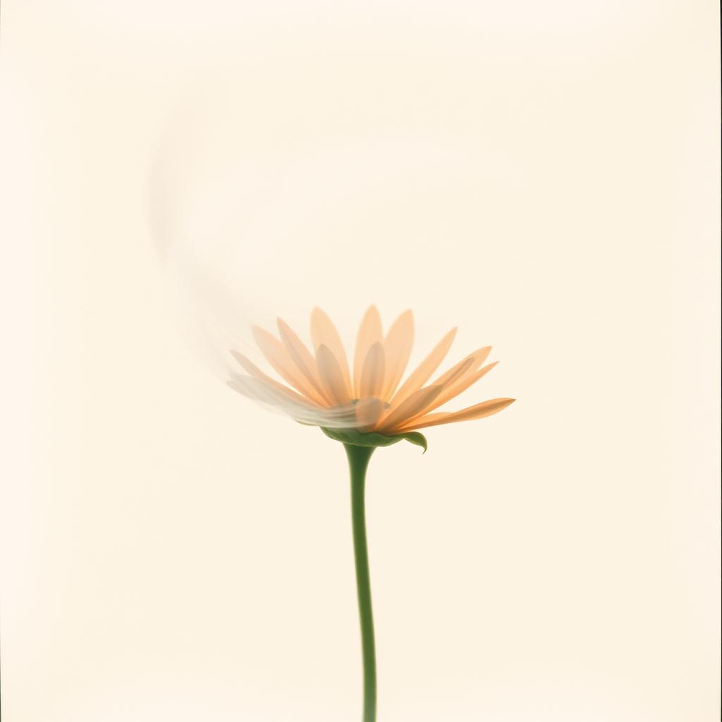 Artwork for Kanava Illai