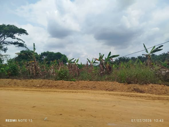 Terrain titré à vendre à Douala