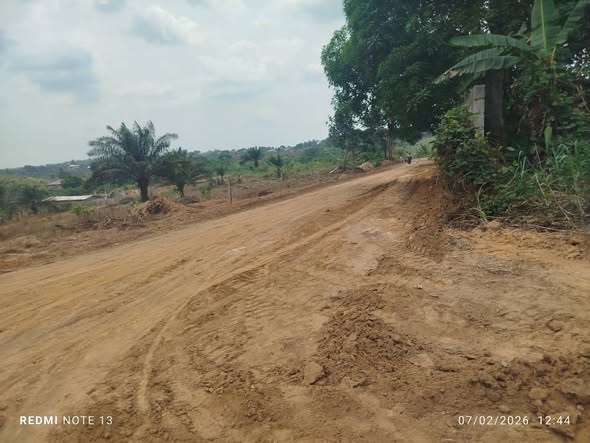 Terrain titré à vendre à Douala