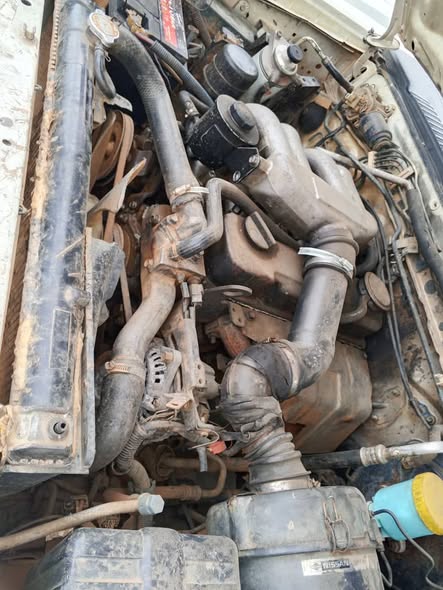 PICK-UP Nissan HABRODDy à vendre