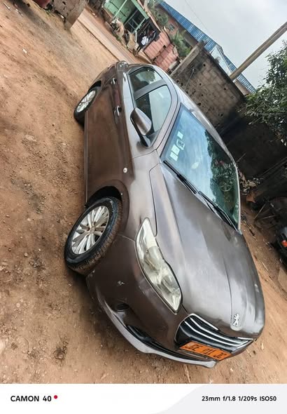 Peugeot reprise cami annee 2017