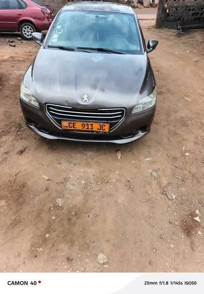 Peugeot reprise cami annee 2017