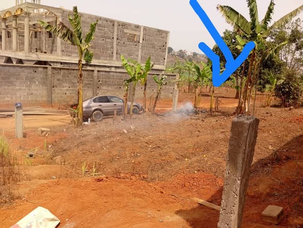 Terrain à vendre à Bafoussam