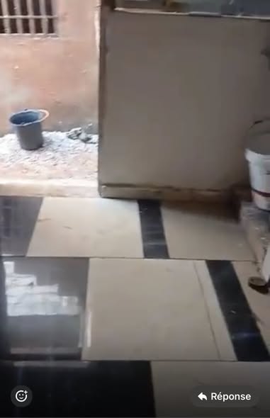 Petit Studio américain staffé nouvellement construit