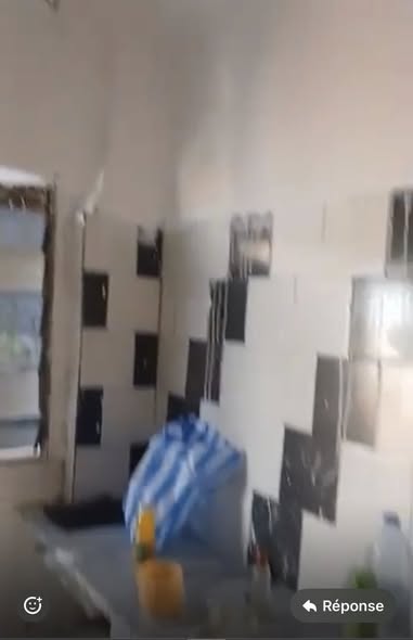 Petit Studio américain staffé nouvellement construit