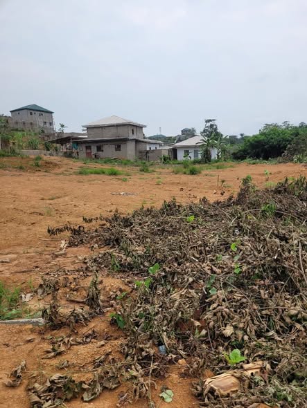 VENTE FLASH – TERRAIN TITRÉ À PK17 DOUALA