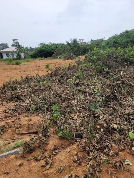 VENTE FLASH – TERRAIN TITRÉ À PK17 DOUALA
