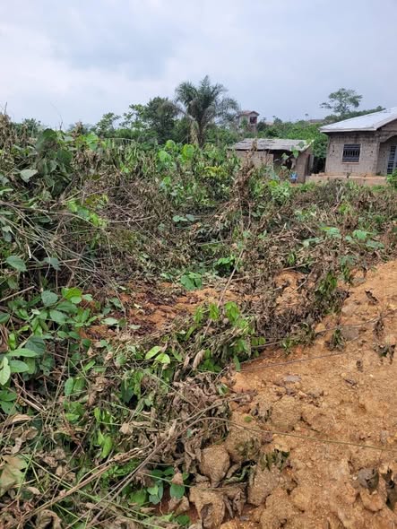 VENTE FLASH – TERRAIN TITRÉ À PK17 DOUALA