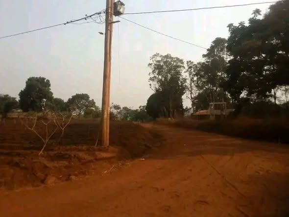 Opportunité agricole à Bamessingue