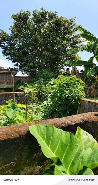Terrain à vendre à Bafoussam