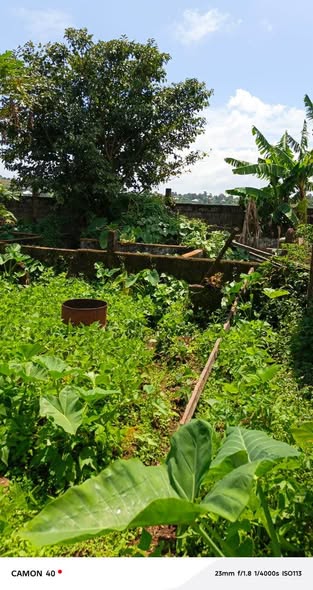 Terrain à vendre à Bafoussam