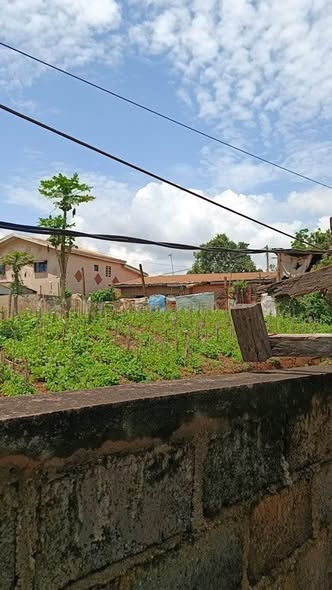 Terrain à vendre à Bafoussam