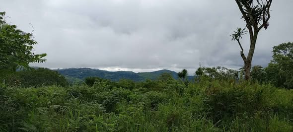Terrain à vendre à PK 19