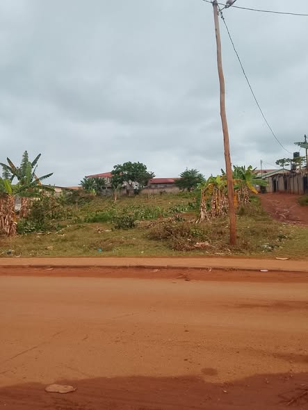 Terrain à vendre à Tsinga village