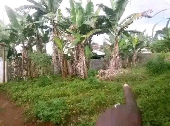 Terrain à vendre à Bafoussam