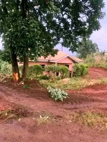 Terrain à vendre à Bafoussam