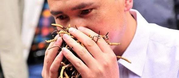 Médecine naturelle chinoise