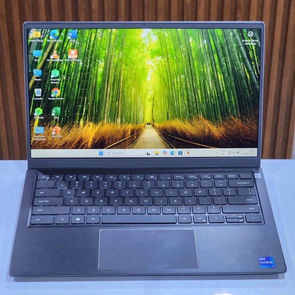 Ordinateur Portable DELL Vostro 14 5410