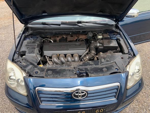 Toyota Avensis tête de cochon lifbak Année 2005