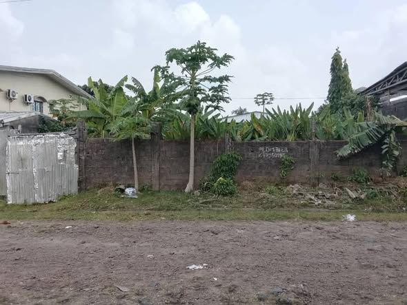 Terrain à vendre à Douala