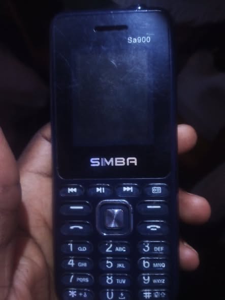 Simba tout passe ont gère maintenant
