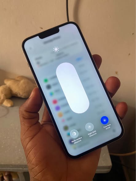 iPhone 13 pm 256 GB