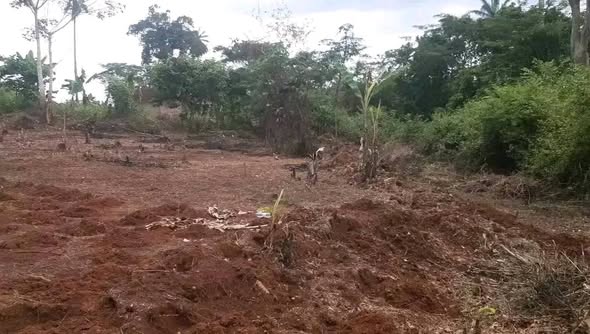 Terrain à vendre à Nkolafamba