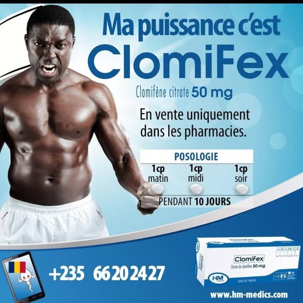 Vivagest disponible à Bafoussam