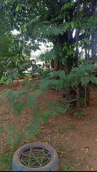 Opportunité d'investissement à Yaoundé