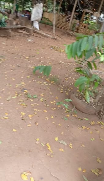 Opportunité d'investissement à Yaoundé