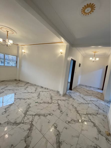 Appartement haut standing à louer à Biyem assi