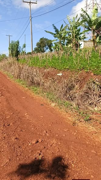 Terrain à vendre à Bafoussam