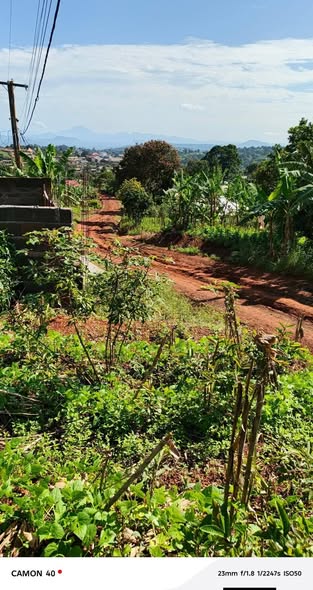 Terrain à vendre à Bafoussam