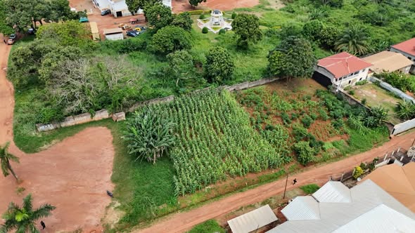 Terrain à vendre à Biteng, Yaoundé