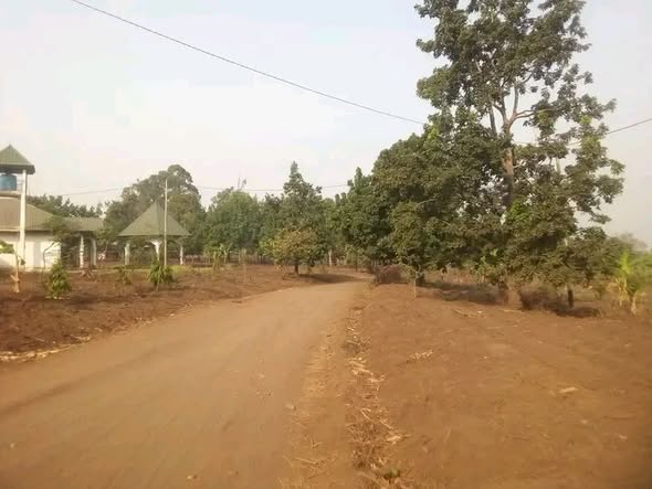 Terrain à vendre à Bafoussam