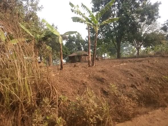 Terrain à vendre à Bafoussam