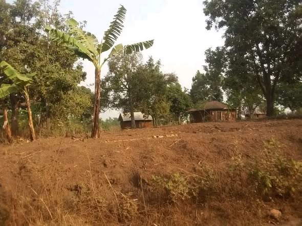 Terrain à vendre à Bafoussam
