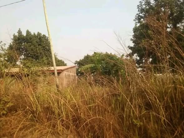 Terrain à vendre à Bafoussam