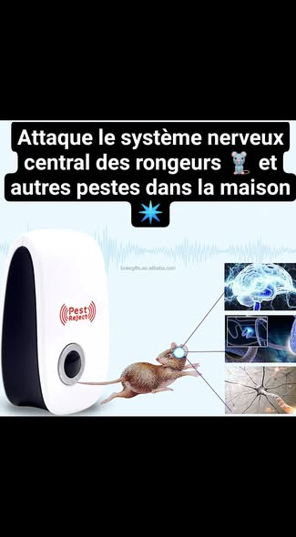 Gadget électronique ultrasonique anti-insectes