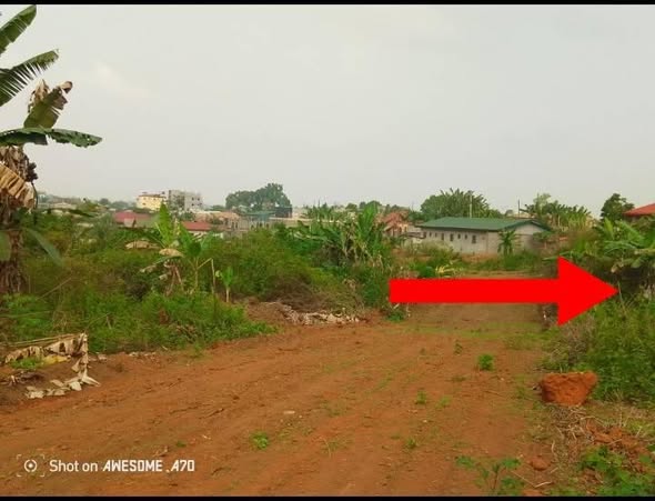 Terrain à vendre à Nkoabang