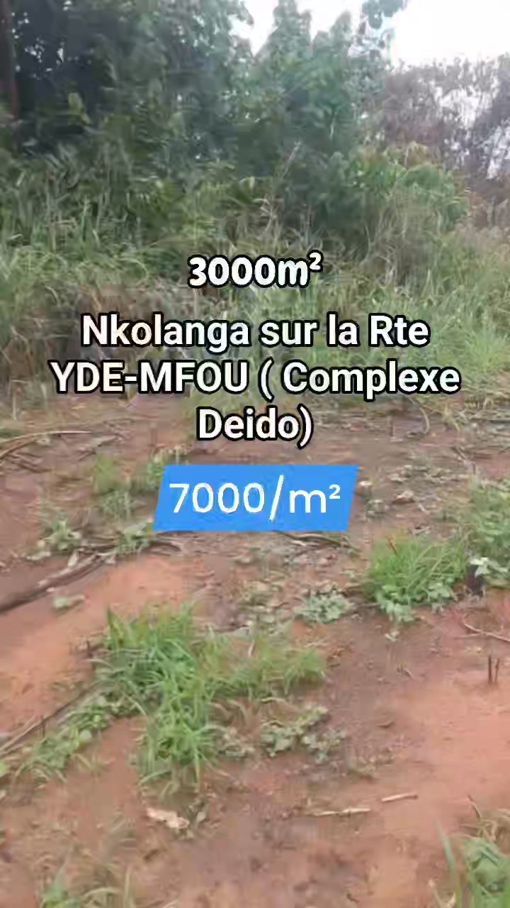 Terrain à vendre à Nkolanga