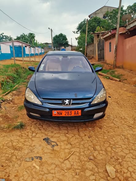 Peugeot 607 à vendre