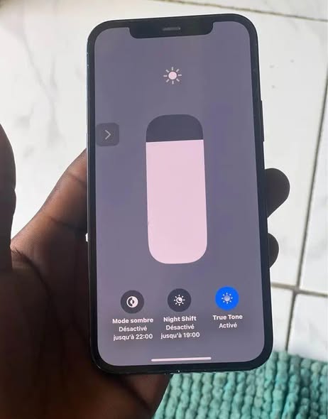 Phone 12 Pro Max 256GB