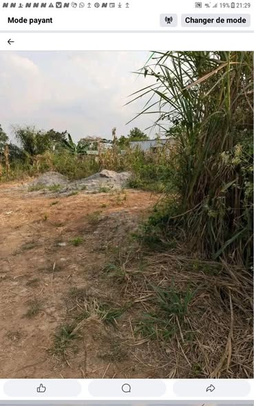 Vente de terrain à EBANG