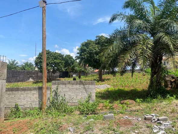 Magnifique terrain clôturé à vendre – Messamedongo Odza