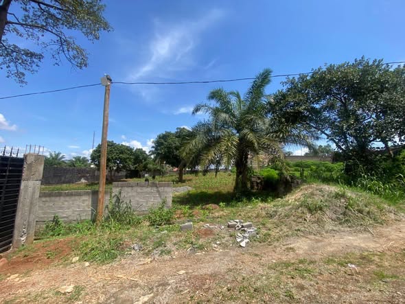 Magnifique terrain clôturé à vendre – Messamedongo Odza