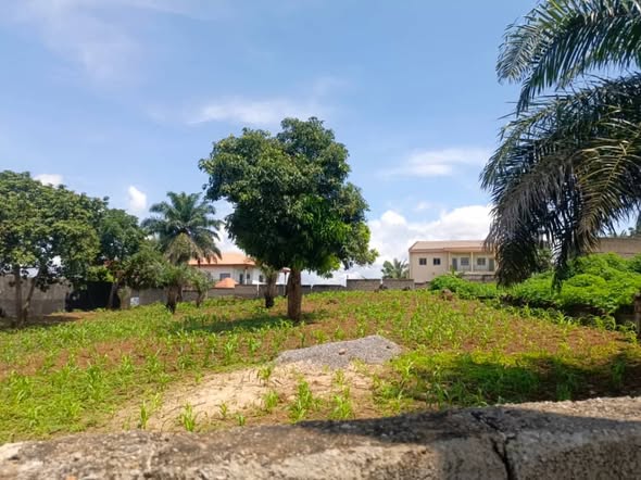 Magnifique terrain clôturé à vendre – Messamedongo Odza