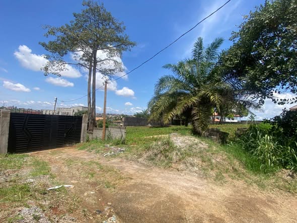 Magnifique terrain clôturé à vendre – Messamedongo Odza