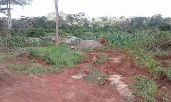 Terrain 1000m2 à vendre à EZEZANG Nkolmedouga
