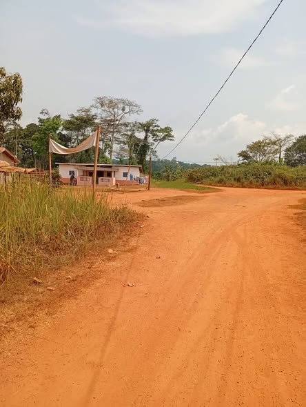 Terrain à vendre à Nkometou